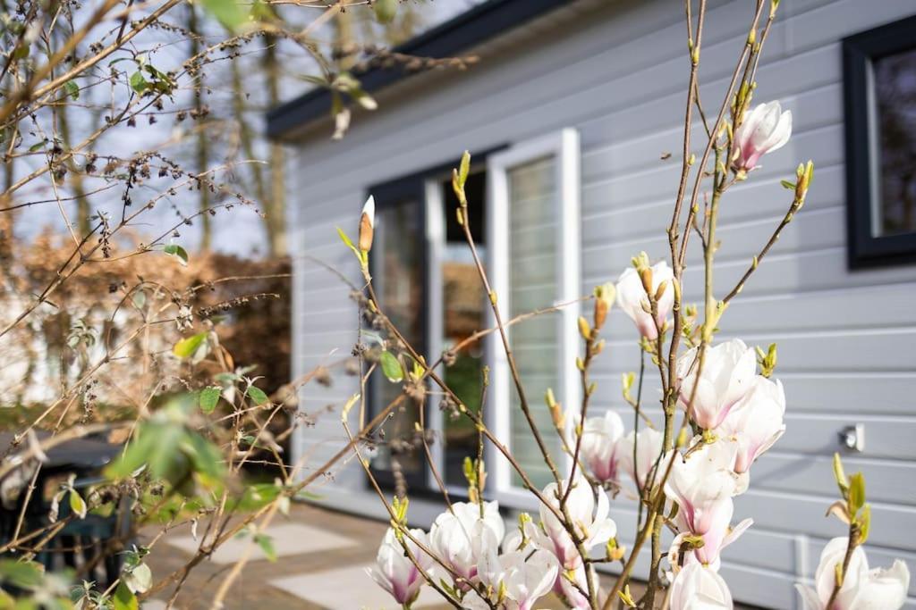 Gezellig Modern Chalet Midden Op De Veluwe เอเปอ ภายนอก รูปภาพ
